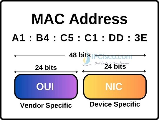 MAC Address example